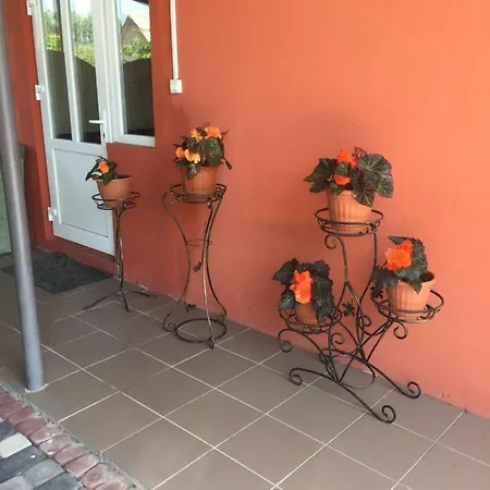 Гостевой дом Family Велятино